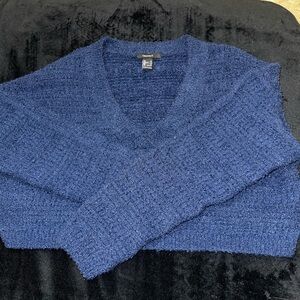 Forever 21 Navy V-Neck Sweater